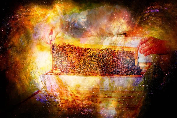 Apicultor manipulando com favo de mel cheio de mel dourado em abstrato espaço estruturado fundo. — Fotografia de Stock