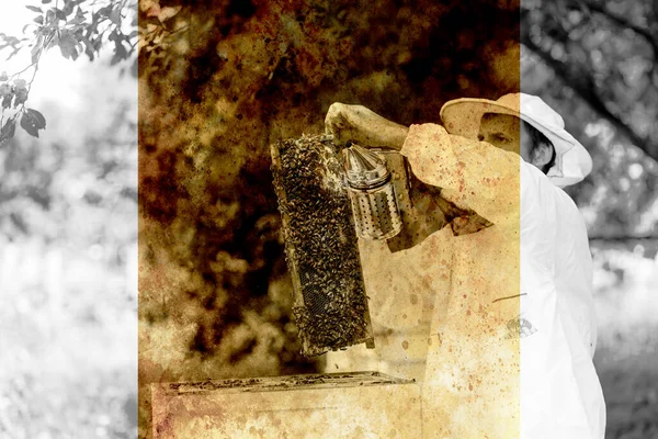 Smoke beekeeper for processing bees by smoke and old photos effect with border.