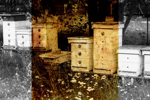 Белые ульи пчел на пасеке и эффект старых фотографий с границей . — стоковое фото