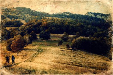 Güzel dağ çayırlarında koyun sürüsü, eski fotoğraf efekti.