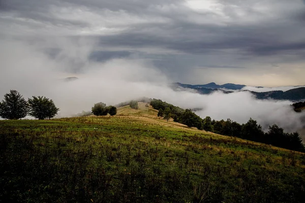 Belles Montagnes Matinales Dans Brouillard Montagnes Été — Photo