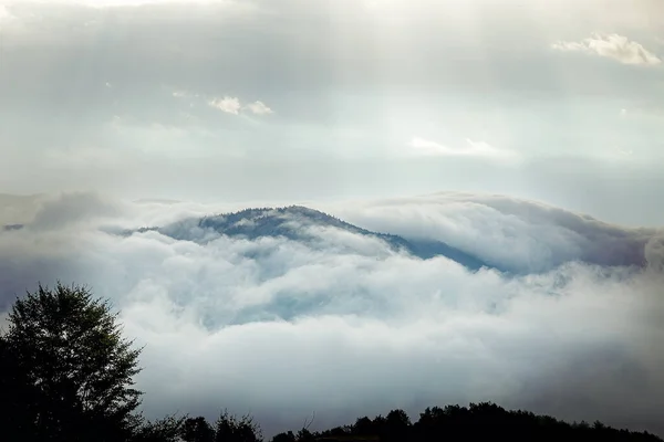 Hermosas Montañas Mañana Niebla Montañas Verano —  Fotos de Stock