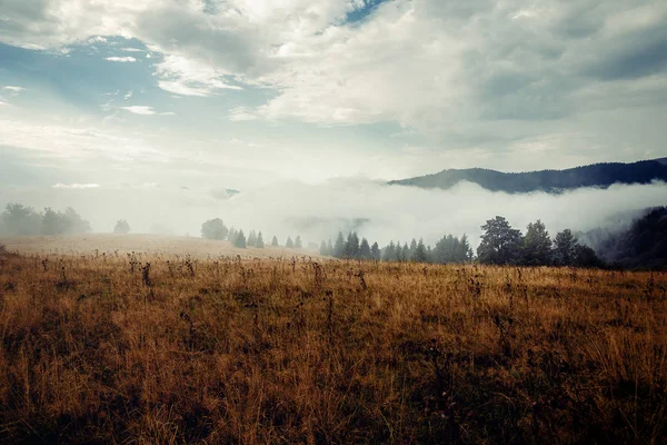 Krásné Ranní Hory Mlze Letní Hory — Stock fotografie