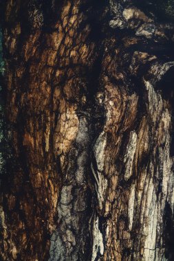 Eski ahşap yapısı ve resim efekti.