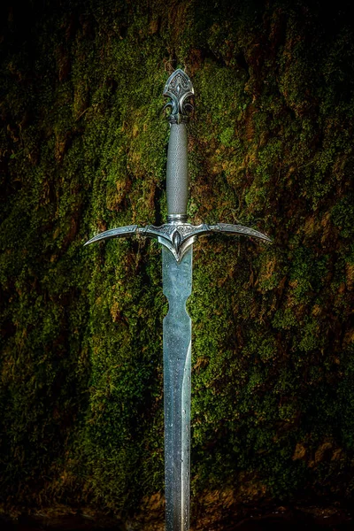 苔の上の魔剣 — ストック写真
