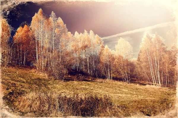 Schöne Landschaft. Birke im Vordergrundbild, alter Foto-Effekt. — Stockfoto