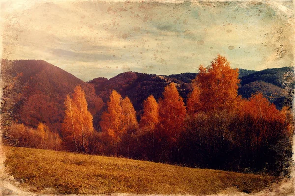 Güzel manzara. Ön planda huş ağacı, eski fotoğraf efekti. — Stok fotoğraf