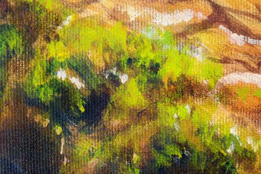 Ahşap kütük yapısı yosun ile kaplı, yakın plan resim ayrıntıları