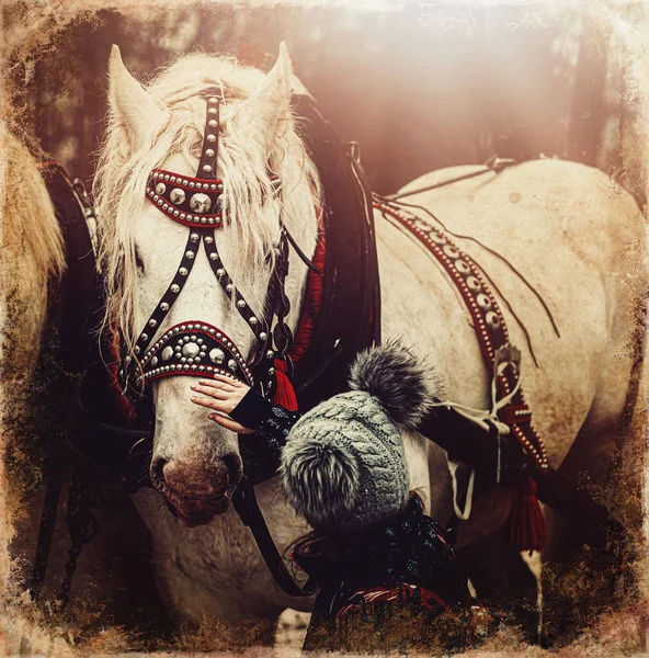 Παιδί Χαϊδεύοντας Λευκό Άλογο Εργασίας Παλιά Φωτογραφία Αποτέλεσμα — Φωτογραφία Αρχείου