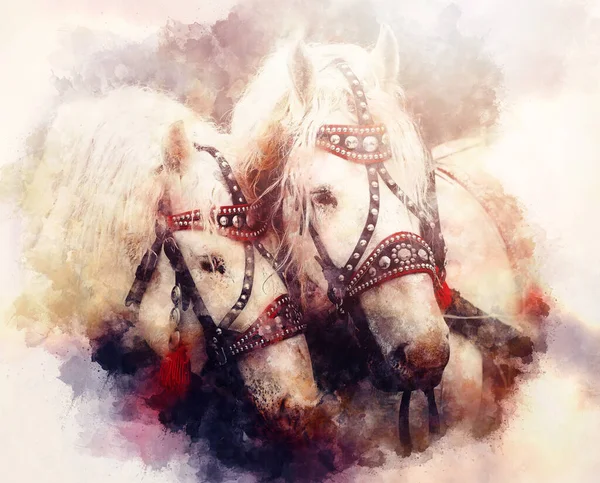Zwei Pferdeporträts Hautnah Verliebt Pferdeliebe Alter Foto Effekt — Stockfoto
