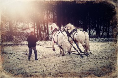 Kış manzarasında at siperliği, eski fotoğraf efekti