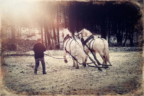 Trener Cavalo Paisagem Inverno Efeito Foto Velha — Fotografia de Stock