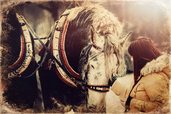 女性は仕事用馬を撫でて古い写真効果 — ストック写真
