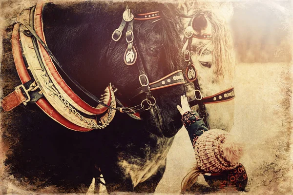 Enfant Caressant Cheval Travail Vieil Effet Photo — Photo