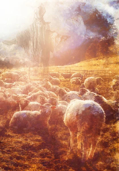 Ježíš Dobrý Pastýř Dřevěný Ježíš Jehňata — Stock fotografie