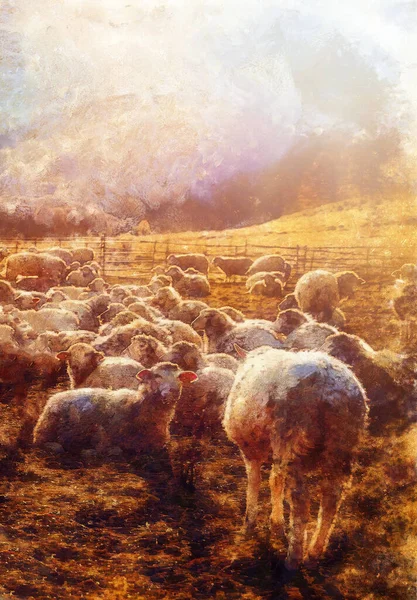 Corderos Pastando Prado Montaña Efecto Pintura Por Ordenador —  Fotos de Stock