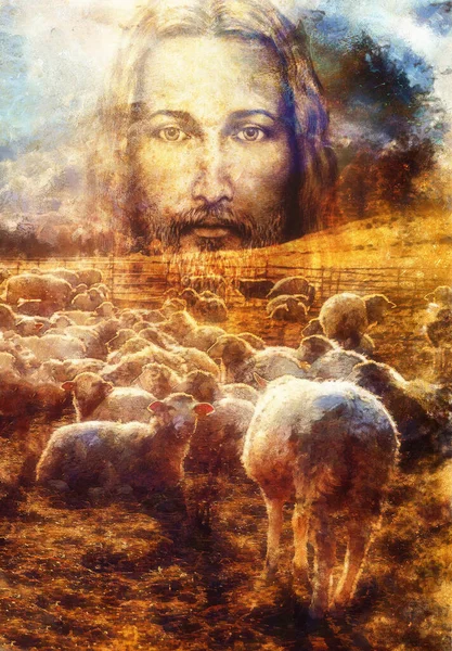 Jézus Pásztor Jézus Bárányok — Stock Fotó