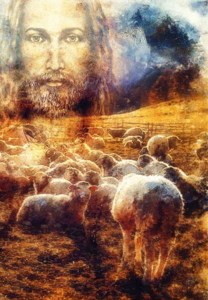 イエス良い羊飼い イエスと子羊 — ストック写真