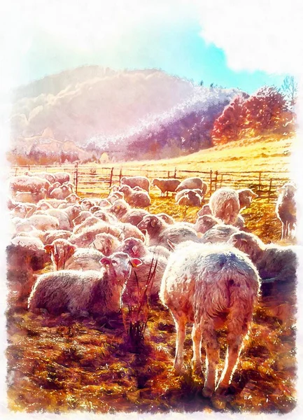 Corderos Pastando Prado Montaña Efecto Pintura Por Ordenador —  Fotos de Stock