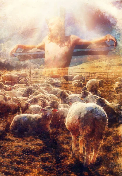 Jesus Der Gute Hirte Jesus Und Die Lämmer — Stockfoto