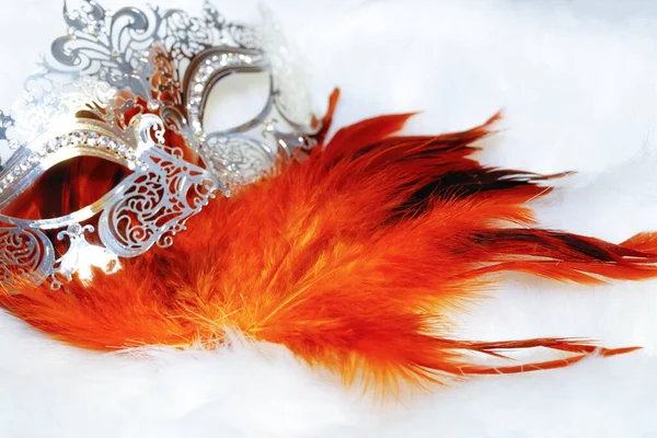 Beautiful Filigrane Ornamental Silver Venice Mask Radiant Feathers White Fur — Stock Photo, Image