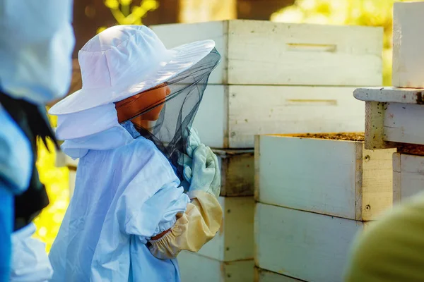 Yung Včelař Sobě Ochranné Oblečení Sledování Včel Úlu — Stock fotografie