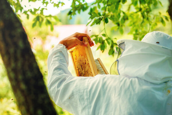 Beekeeper manipulating with honeycomb full of golden honey