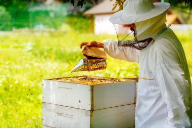 Arıcı bal dolu bal peteğiyle hile yapıyor.