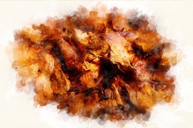 Meşe yapraklarının arkaplan yapısı ve derleme resim efekti