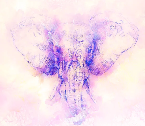 Elefante Con Ornamento Floreale Disegno Matita Carta Effetto Marmo — Foto Stock