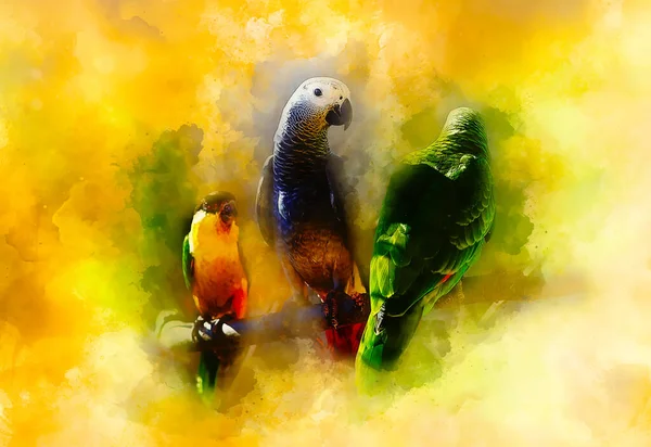Farbige Papageien Und Weich Verwischter Aquarell Hintergrund — Stockfoto