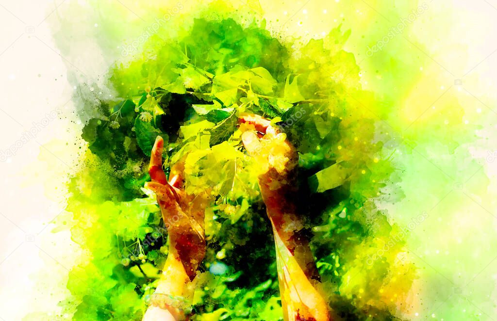 gentle prayer to a beautiful linden tree on bright midsummer day and softly blurred watercolor background