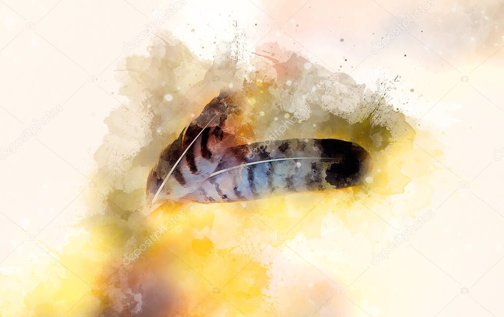 Eagle feathers and softly blurred watercolor background