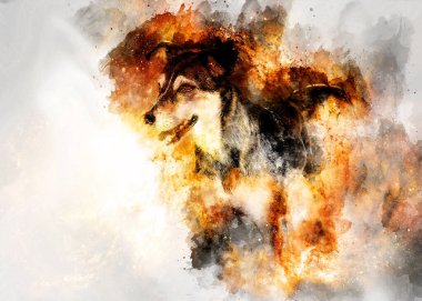 Kozmik uzayda köpek, güzel renk benekleri yapısı
