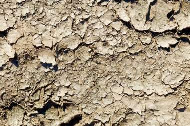 Çöldeki çatlamış kil dokusu.
