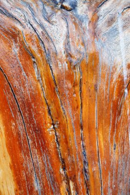 Ahşap detaylı yapısal desen. Kahverengi arkaplan