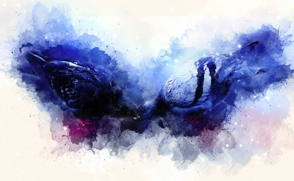 Két Galamb Lágyan Elmosódott Akvarell Háttér — Stock Fotó