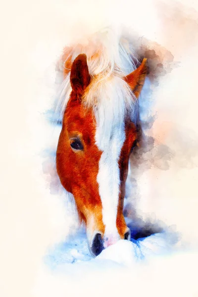 Pferdegesicht Und Weich Verwischtem Aquarell Hintergrund Haflinger Pferd — Stockfoto