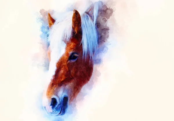 Pferdegesicht Und Weich Verwischtem Aquarell Hintergrund Haflinger Pferd — Stockfoto