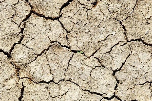 Textura Argila Crepitada Deserto — Fotografia de Stock