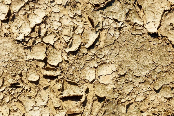 Çöldeki Çatlamış Kil Dokusu — Stok fotoğraf