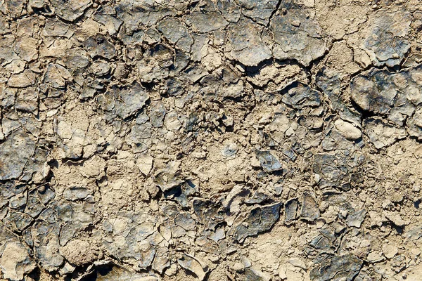 Texture Crackled Clay Desert — Stock Photo, Image