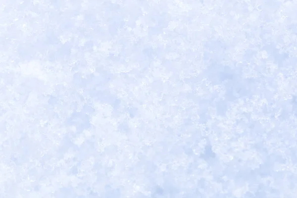 Снігова Текстура Крупним Планом Сонці — стокове фото