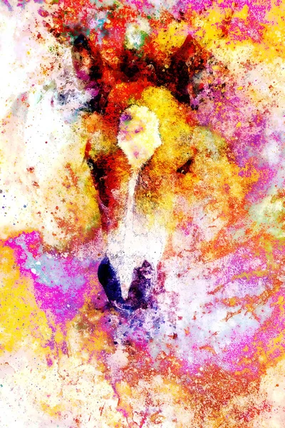 Cub Horse Face Abstract Background Color Effect — Stock Photo, Image