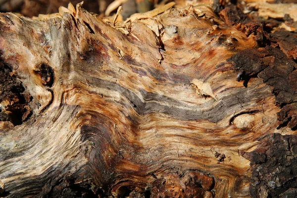 Ahşap Detaylı Yapısal Desen Kahverengi Arkaplan — Stok fotoğraf