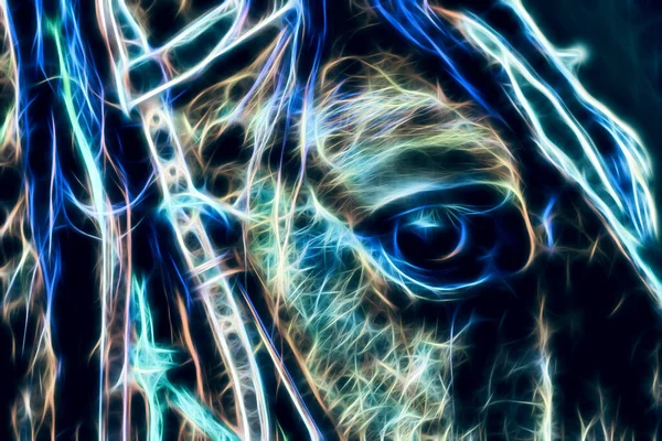 Krásné Koňské Oko Detailní Záběr Fraktálním Efektem — Stock fotografie
