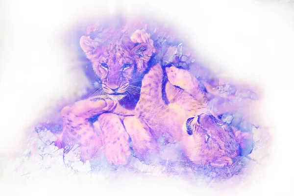 Dvě Roztomilá Lví Mláďata Hrají Spolu Grafický Mramorový Efekt — Stock fotografie