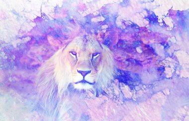 Aslan surat ve grafik efekt. Bilgisayar kolajı. Mermer etkisi