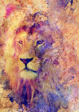 Aslan surat ve grafik efekt. Bilgisayar Kolajı