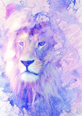 Aslan surat ve grafik efekt. Bilgisayar kolajı. Mermer etkisi